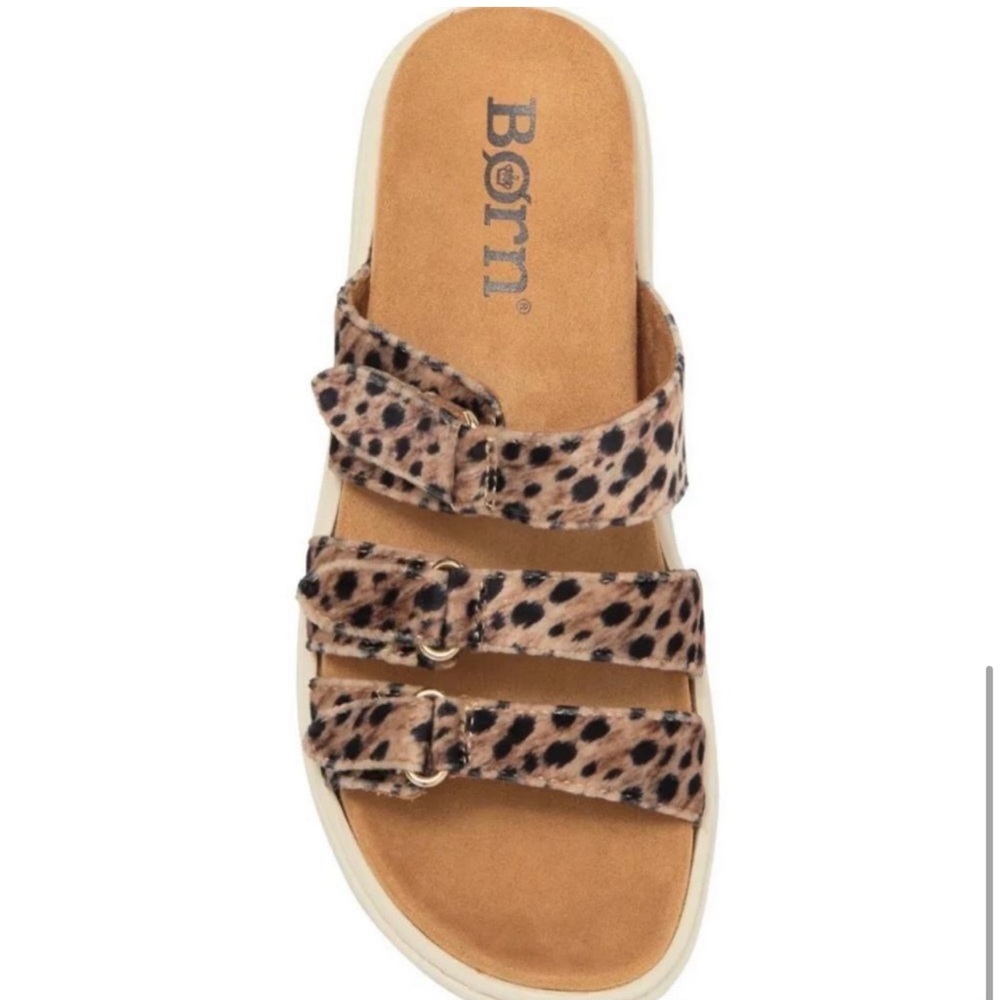 Børn Daintree Sandal Animal Printed Fabric Triple Buckle 10M - Picture 2 of 7